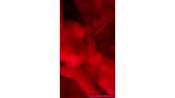 Alexandrapap26 Trans Sex tape