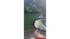 Trippie Bri onlyfans video Door Dash Sextape